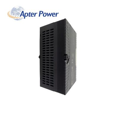 IC200ALG328E